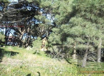 Terreno · 572m² · Excelente Lote en Las Camelias, Costa del Este