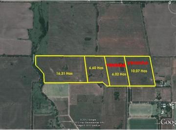 Campo · 66000m² · Exclusivas Chacras Zona Polo en Los Cardales