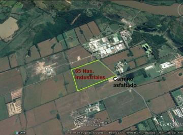 Terreno · 650000m² · Fracción Industrial Camino de La Costa Brava