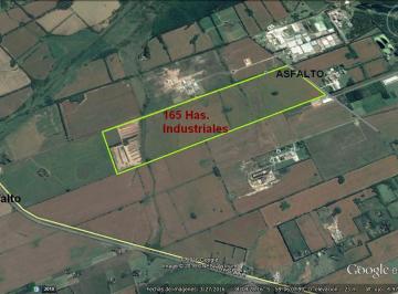 Terreno · 1650000m² · Excelente Campo Industrial Sobre Asfalto