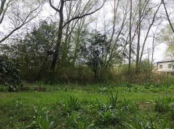 Terreno , Tigre · Venta Lote Delta Tigre - 1era Seccion - 2200 m. Arroyo La Holla.