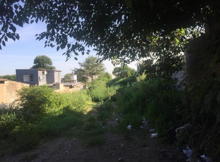 Terreno