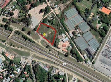 Terreno · 5000m² · Terreno - Loma Verde