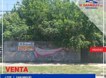 HGP-HGP-4343_2 · Lote. | Concejal Tribulato