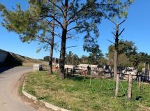 Terrenos en Parada Robles, Ruta 8 Km 77, Gba Norte - Zonaprop