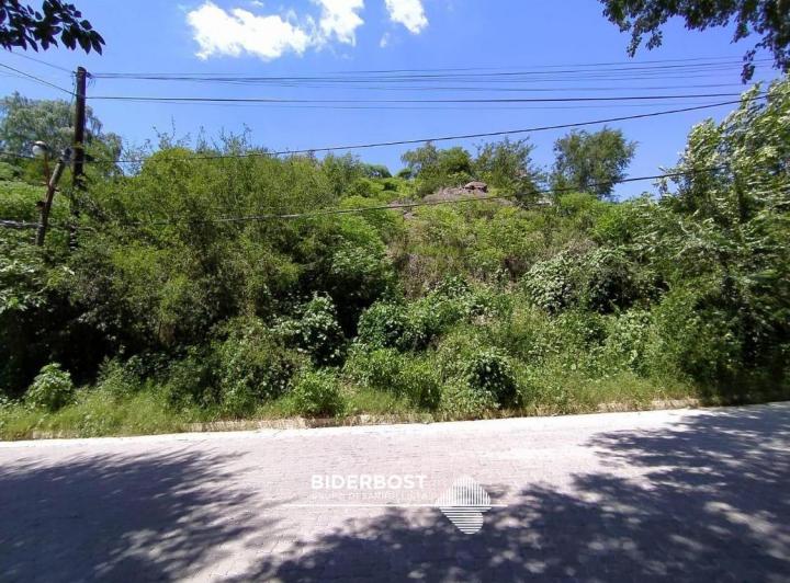 Terreno · 984ha