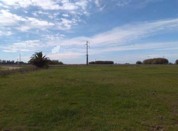 GNP-GNP-559_2 · Chacra Chascomus Venta Barrio El Porteño
