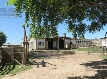 Campo · Campo - San Vicente