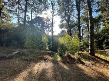 Terreno , Costa del Este · Lote en Venta en Costa del Este