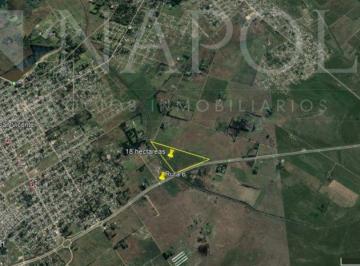 NNI-NNI-791_2 · Venta de Campo, San Vicente