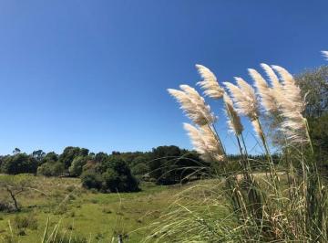 Campo , Uruguay · Chacra en Punta del Este - Pegada Al Hotel Fasano