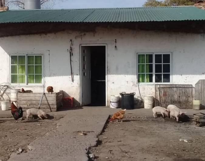 Campo · 1m² · 2 Dormitorios
