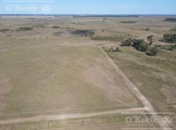 Campo · 1730000m² · Campo Ganadero en Venta 173 Has en San Vicente