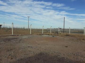 Bodega-Galpón , Centenario · Venta - Impecable Galpón - Centenario