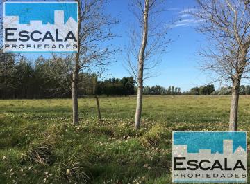 Terreno · 19374m² · Terreno Fraccion 19374 m² Fisherton Norte Newbery Al 8900