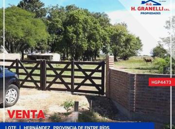 HGP-HGP-4473_2 · Lote. | Ruta Nacional N° 12