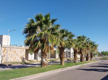 Terreno de 1 ambiente, El Médano · Terreno en Venta 300 m² en Barrio Privado Las Lomas