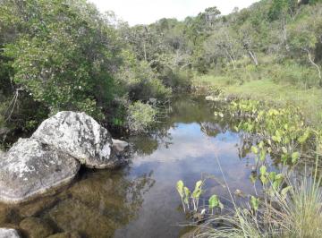 Foto1 · Campo Cerca de Pueblo Eden - Consulte!