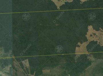Campo · 31240000m² · 3124 Has Ganaderas a Explotar con Todos Los Permisos Para Inversor