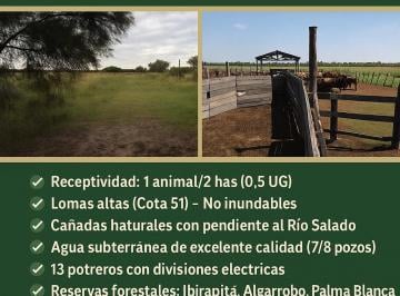 Campo de 3 ambientes, Resistencia · Excelente Campo de Cria en Produccion en Venta de 4000 Ha en Colonia Baranda