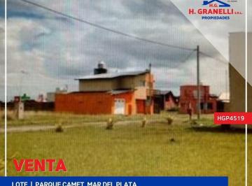 HGP-HGP-4519_2 · Lote. | Arbolito