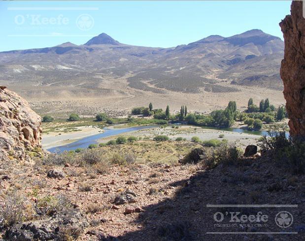 Campo · 9000ha