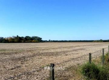 Terreno · 81100m² · Fracción Industrial en Baradero