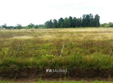 Terreno · 350m² · Terreno en Arroyo de La Cruz