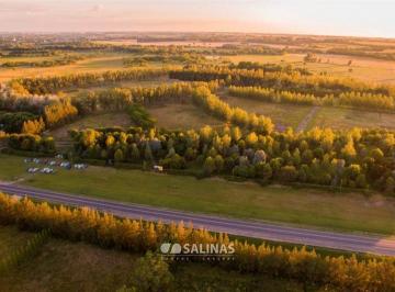 Terreno · 1000m² · Terrenos en El Tropezón, San Antonio de Areco