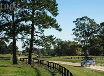 Terreno · 20000m² · Terrenos en Quebradas Villa Rural