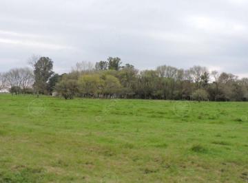 Campo · 120m² · 5 Ambientes · 2500 Has - Campo en Venta - Campo Para Todo El Año!