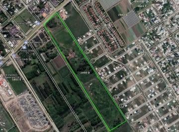 Campo · 74000m² · Fracción Sobre Ruta 25. Ideal Loteo