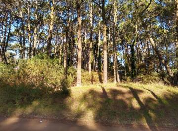 Terreno · 987m² · Codigo 1548 - Lote en Cariló - Divisadero y Lapacho Usd 190.000