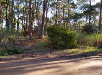 Terreno · 997m² · Codigo 1547 - Lote en Cariló - Divisadero y Lapacho Usd 190.000