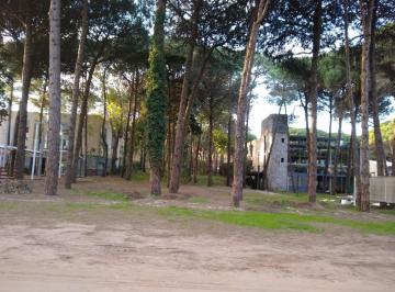 Terreno · 605m² · Codigo 1536 - Lote en Cariló - Avellano E/ Benteveo y Boyero Usd 700.000