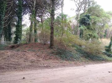 Terreno · 1019m² · Codigo 1387 - Lote en Cariló - Reinamora E/ Araucaria y Casuarina Usd 170.000