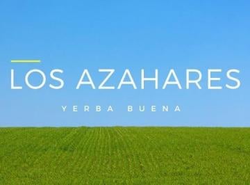 ISN-ISN-296_2 · Lote | Yerba Buena