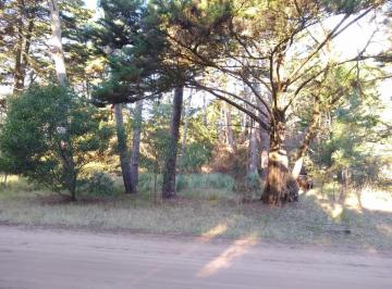 Terreno · 925m² · Codigo 1481 - Lote en Carilo - Zorzal E/rey del Bosque y Urraca Usd 85.000