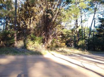 Terreno · 857m² · Codigo 1482 - Lote en Cariló - Zorzal E/ Rey del Bosque y Urraca Usd 85.000