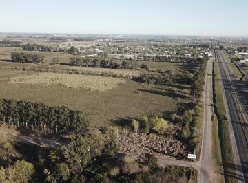 Campo · 100ha · 100 Has Sobre Panamericana. Campana - Km 69 Ruta 9