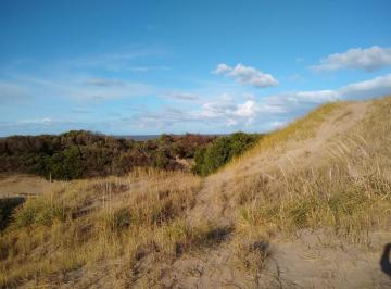 Terreno · 1654m² · Codigo 1517 - Lote en Cariló - Playa E/ Paraíso y Roble Usd 860.000