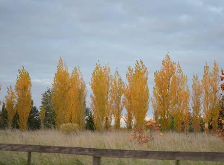 Terreno · 3000m²