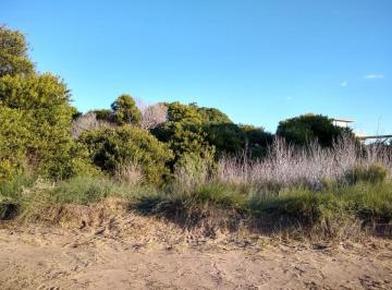 Terreno · 1004m² · Codigo 1503 - Lote en Carilo - Roble E/avutarda y Playa Usd 220.000