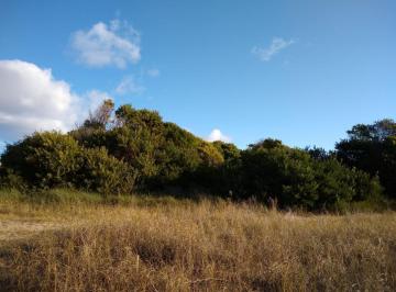 Terreno · 1260m² · Codigo 1504 - Lote en Cariló - Roble E/ Avutarda y Playa Usd 260.000
