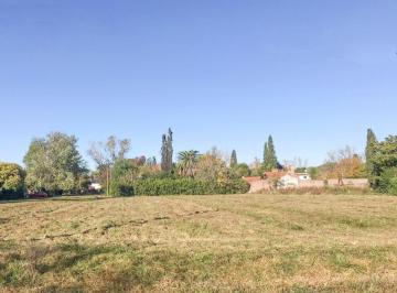 Terreno · 645m² · Garita 17