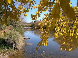 Terreno de 1 ambiente, La Rancherita · Terrenos en Venta en La Paisanita 1 a 10 Hectáreas Alta Gracia Próxima Al Rio
