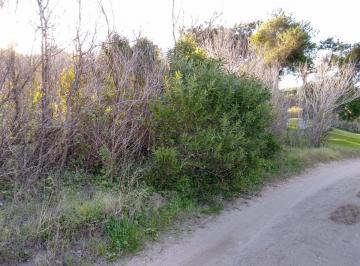 Terreno · 1064m² · Codigo 1474 - Lote en Cariló - Avutarda E/roble y Sequoia Usd 150.000