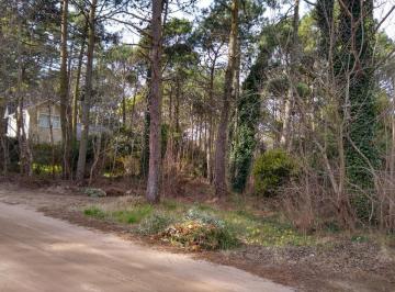 Terreno · 1092m² · Codigo 1645 - Carilo - Lote - Gallareta E/ Olmo y Palmera Usd 120.000