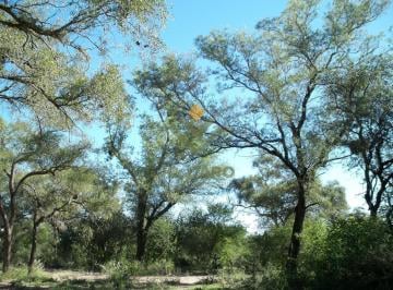 Campo · 21240000m² · Campo 2.124 Ha Sobre Rn34 | Inversión en Tierra con Potencial Ganadero y de Triple Impacto | Santiag