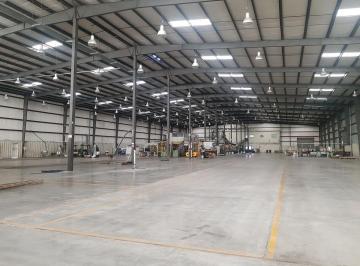 Depósito · 5000m² · Exclusiva Nave Industrial y Depósito - Parque Industrial Pilar